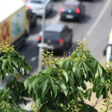 公寓 Atica Penthouse 塔林